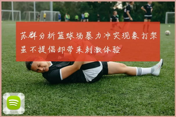 苏群分析篮球场暴力冲突现象打架虽不提倡却带来刺激体验