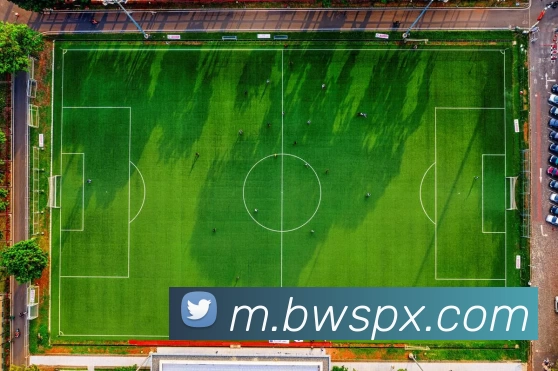 必威体育APP 封面图